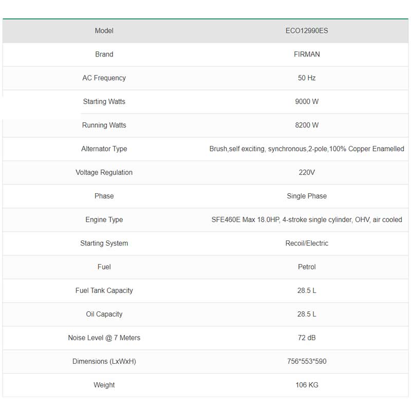 موتور برق بنزینی فیرمن مدل ECO 12990ES
